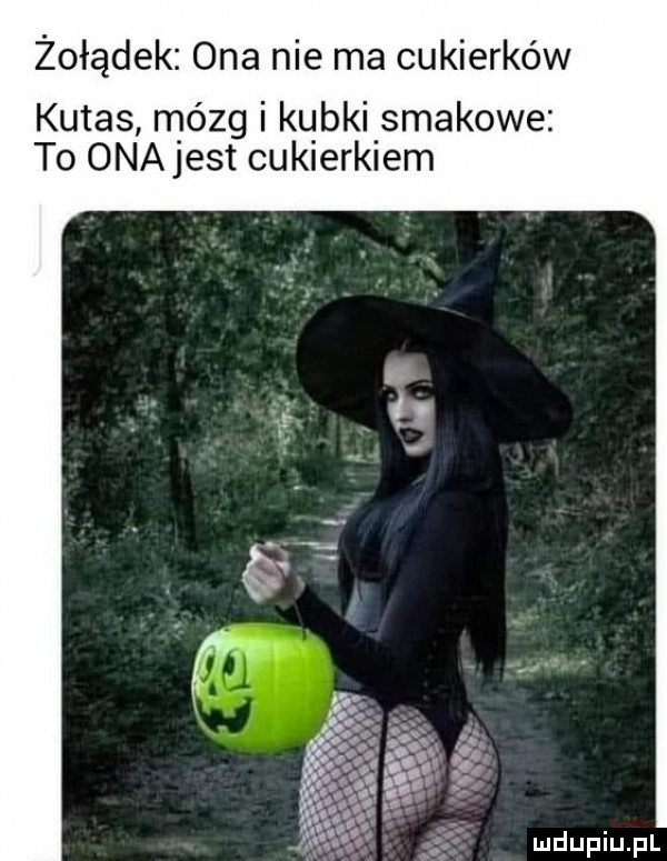 żołądek ona nie ma cukierków kutas mózg i kubki smakowe to onajest cukierkiem   q i