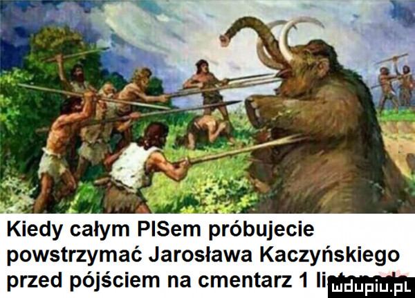 indy całym pasem próbujecie powstrzymać jarosława kaczyńskiego przed pójściem na cmentarz   ii wdaniu pl