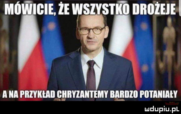 mamami wszv sr il unnnzuil a iii fiiiykmi chryzantemy ibl lllllll fai i aiiiaiy