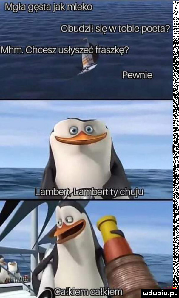 mmwwmmkb ff   i obudził się w tobie poeta mhm. chcesz uslyszpec fraszkę v lllgamtgrt ty chﬁjﬁ i