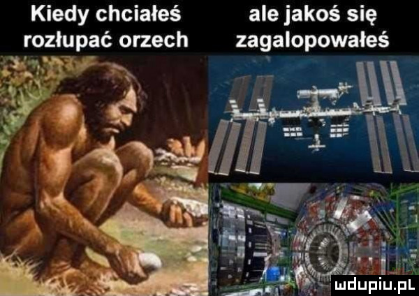 kiedy chciałeś ale jakoś się rozłupać orzech zagalopowałeś i. ludupiu. pl