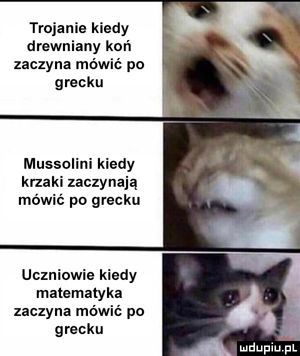 trojanie kiedy drewniany koń zaczyna mówić po grecku mussolini kiedy krzaki zaczynają mówić po grecku uczniowie kiedy matematyka zaczyna mówić po grecku