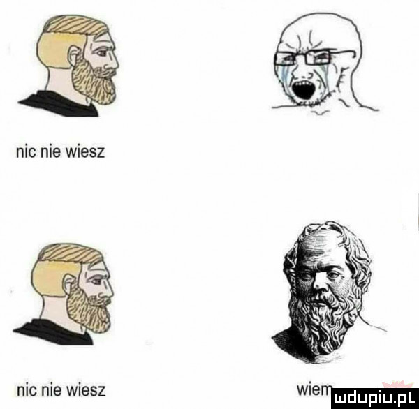 nic nie wiesz nic nie wiesz