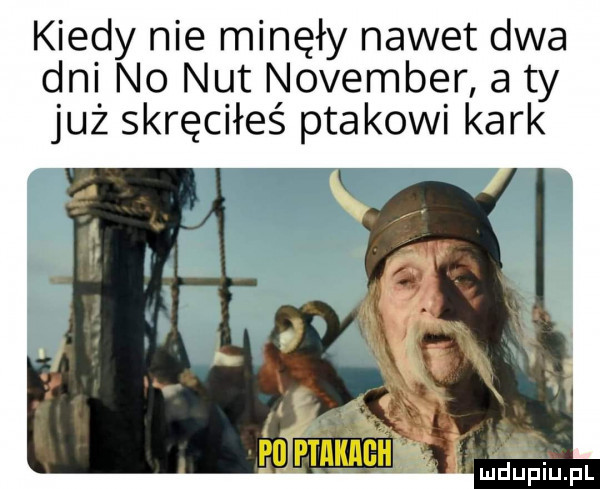 kiedy nie minęły nawet dwa dni no nut nowember a ty już skręciłeś ptakowi kark