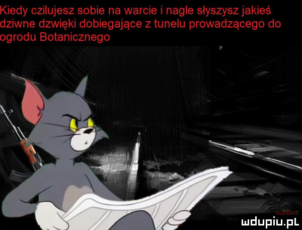 kiedy czipujesz sobie na warcie i nagle słyszysz jakieś dziwne dźwięki dobiegające z tunelu prowadzącego do ogrodu botanicznego