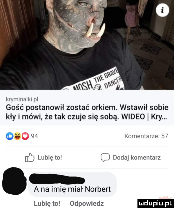 kiyiiiiimiki i gość postanowił zostać orkiem. wstawki sobie kły i mówi że tak czuje się sobą. wideo kry o    komentarze    uj lubię to dodaj komentarz a na imię miał norbert lubię to odpowiedz