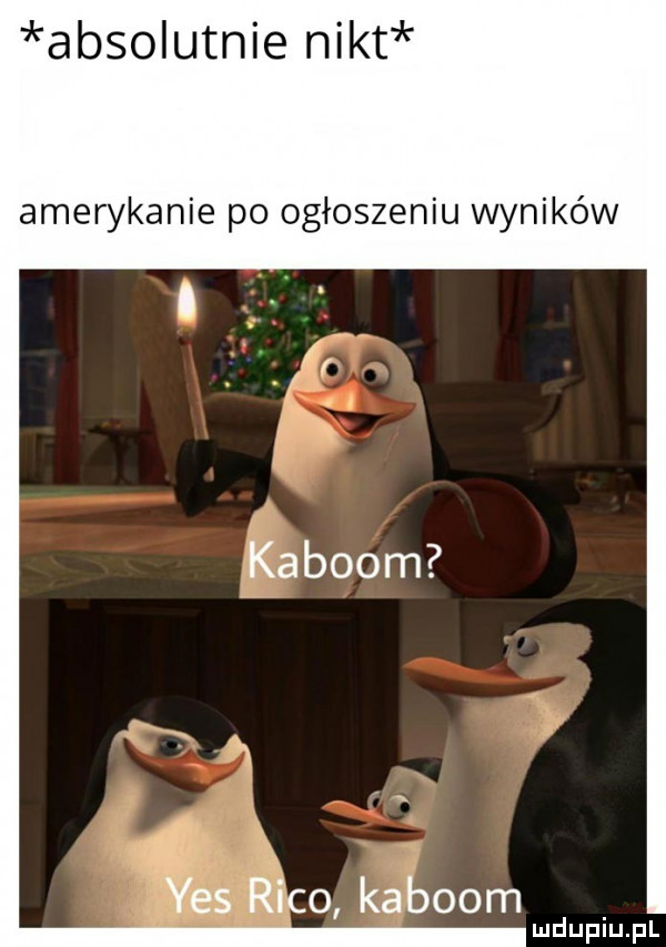 absolutnie nikt amerykanie po ogłoszeniu wyników i ﬁes raco kablom