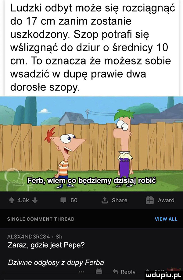 ludzki odbyt może się rozciągnąć do    cm zanim zostanie uszkodzony. szop potrafi się wślizgnąć do dziur o średnicy    cm. to oznacza że możesz sobie wsadzić w dupę prawie dwa dorosłe szopy. stare award single comment thread view all zaraz gdzie jest pope dziwne odgłosy z dupy farba pech mﬂﬁﬁiupl