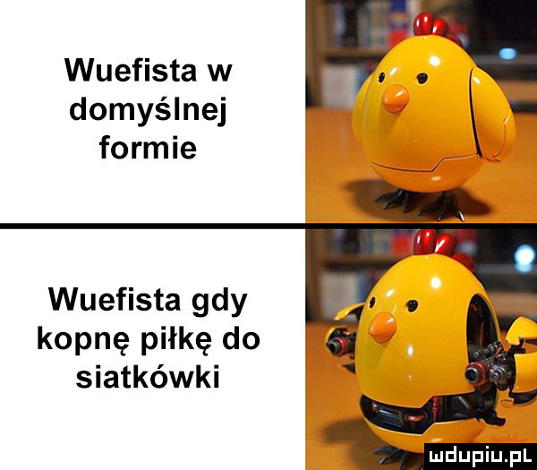 domyślnej wuefista w. abakankami formie wuefista gdy kopnę piłkę do siatkówki