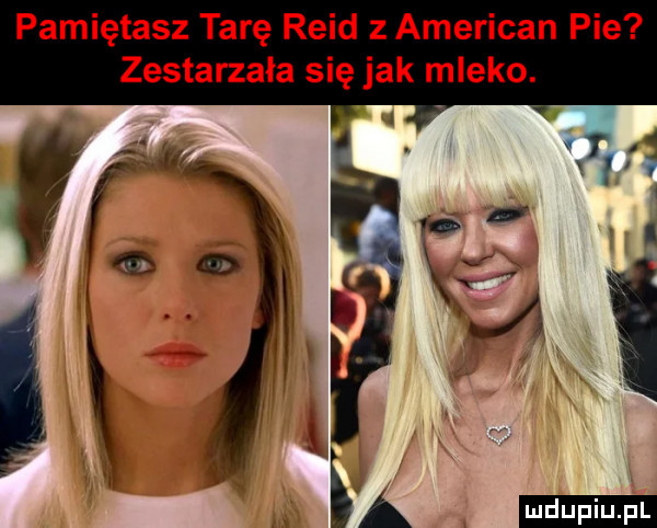 pamiętasz tarę reid   american pie zestarzała się jak mleko. ludu iu. l