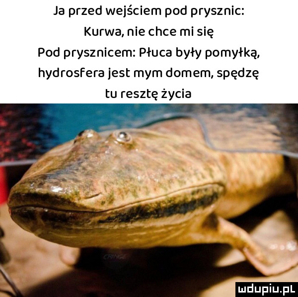 Prysznic