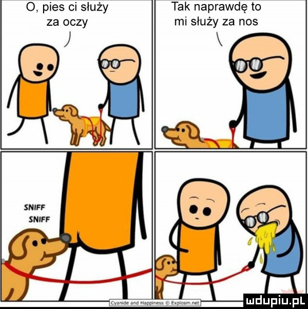 o pies ci służy za oczy tak naprawdę to mi służy za nos