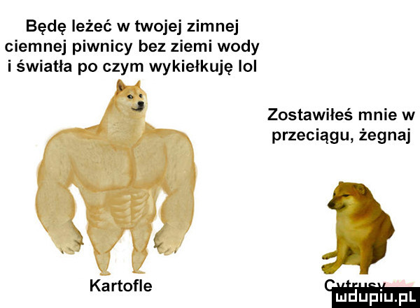 będę leżeć w twojej zimnej ciemnej piwnicy bez ziemi wody i światła po czym wykiełkuję lol zostawiłeś mnie w przeciągu żegnaj ł