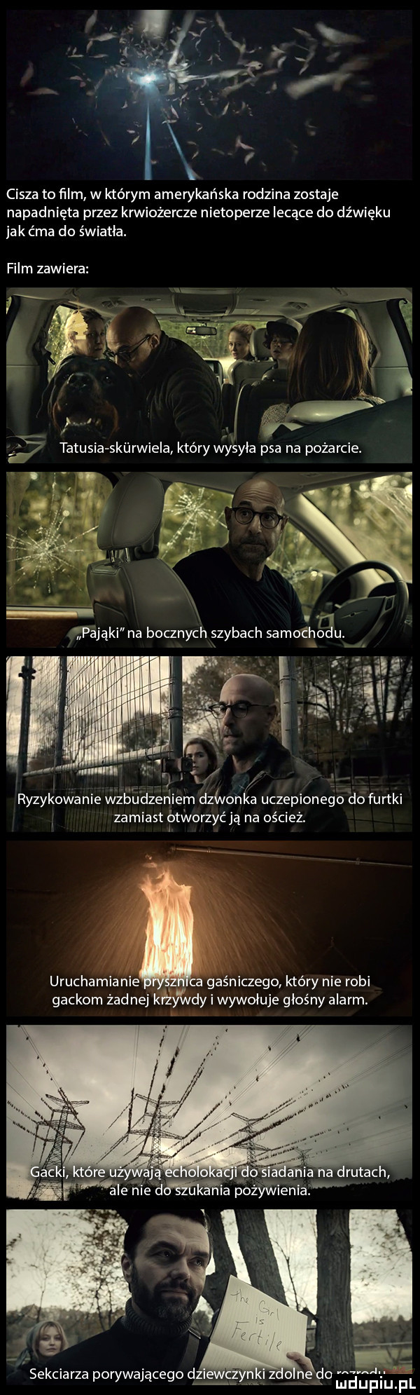cisza to ﬁlm w którym amerykańska rodzina zostaje napadnięta przez krwiożercze nietoperze lecące do dźwięku jak c ma do światła. film zawiera. ryzykowanie webu clzeniem dleonka uczepionego do furtki zamiast otleorzyc ja na oścież. uruchamianie z a gaśniczego który nie robi gackom żadnej kozy lłvdy i wywołuje głośny alarm