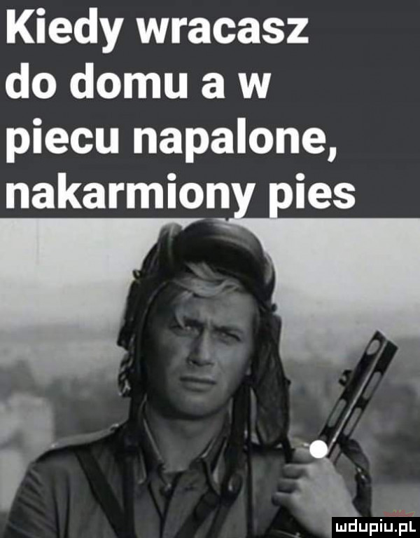 kiedy wracasz do domu a w piecu napalone nakarmion ihs