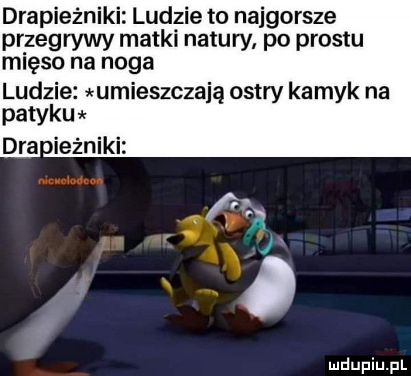 drapieżniki ludzie to najgorsze przegrywy matki natury po prestu mięso na noga ludzie umieszczają ostry kamyk na patyku dra ieżniki