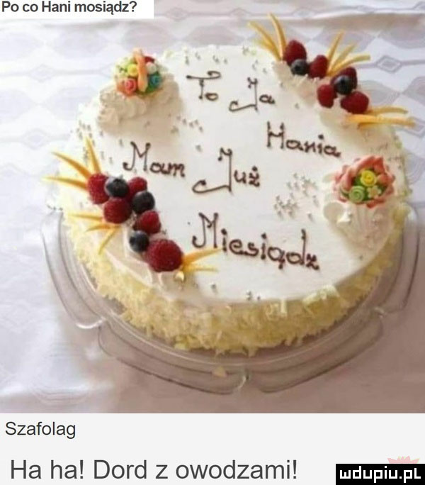 po co hani mosiądz szafolag ha ha dard z owodzami