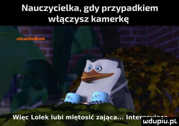 nauczycielka. gdy przypadkiem włączysz kamerkę men lodow wdę lolek lubl mlętoslć zająca. intermdupiupl