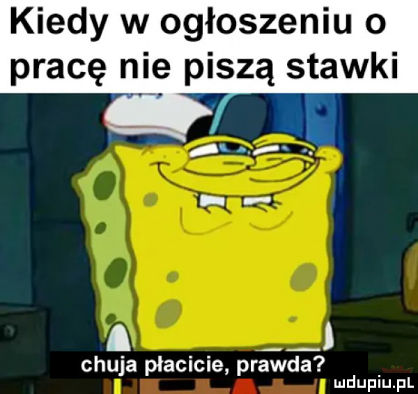 kiedy w ogłoszeniu o pracę nie piszą stawki a chuja płacicie prawda