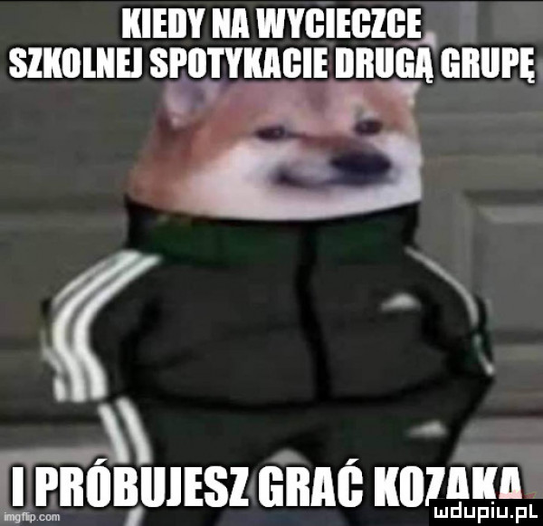 kieiiy ica wygiegige sllllllllil sl ll l ylﬂllill iiiiiiga iiiiiii l b l  i ﬁﬂﬂﬁﬂlisiﬁmﬂ kiiinłęą