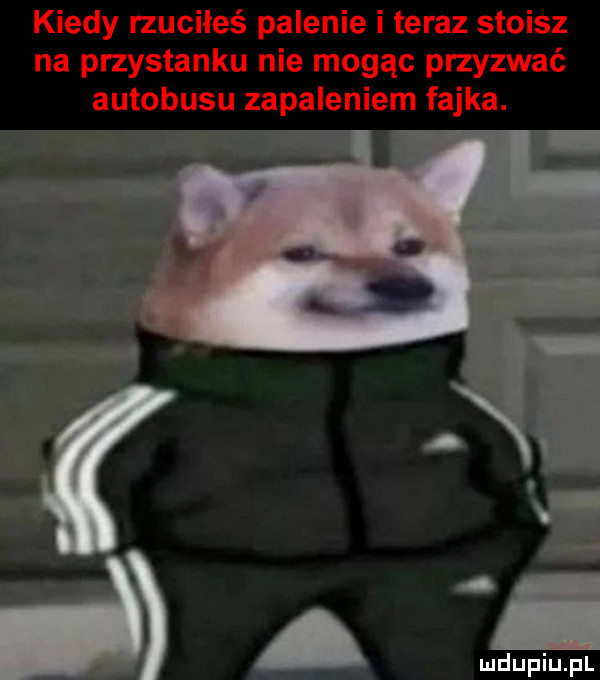 kiedy rzuciłeś palenie i teraz stoisz na przystanku nie mogąc przyzwać autobusu zapaleniem fajka. a t
