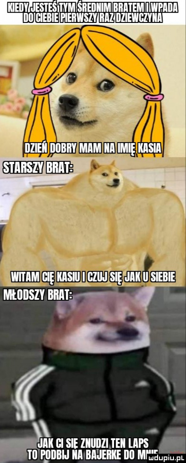 ma śl sal nn lwnnnn nu inbie pieiiwszy nfz iiziewgzyia jak gi sie ziiiiiiziieii laps ti podbij iii biśiehke ibl m jﬁupii ﬁ