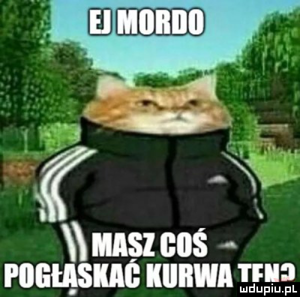 msz cbś rumem uunwn ma ludupiu. pl