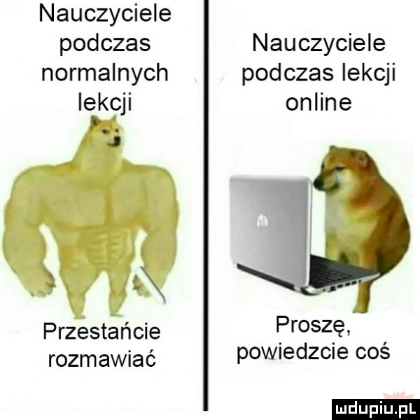 nauczyciele podczas nauczyciele normalnych podczas lekcji lekcji online p. j t przestańcie proszę. rozmawiać powiedzcie cos ludu iu. l