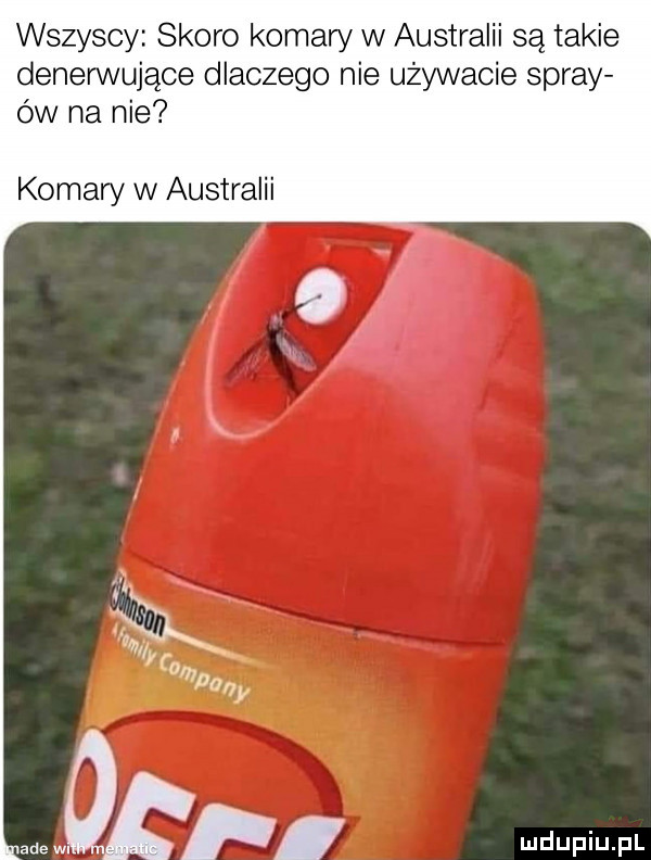 wszyscy skoro komaw w australii są takie denerwujące dlaczego nie używacie spray ów na nie komary w australii bywa