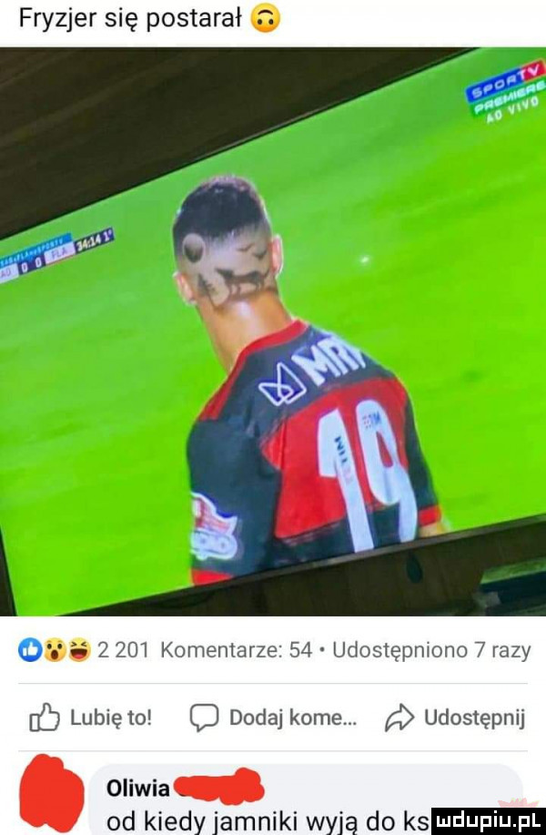 fryzjer się postarał i u         komentarze    udostępniono   razy lubię    q dodaj kome udostępnij oliwia od kiedyjamniki wyją do ks