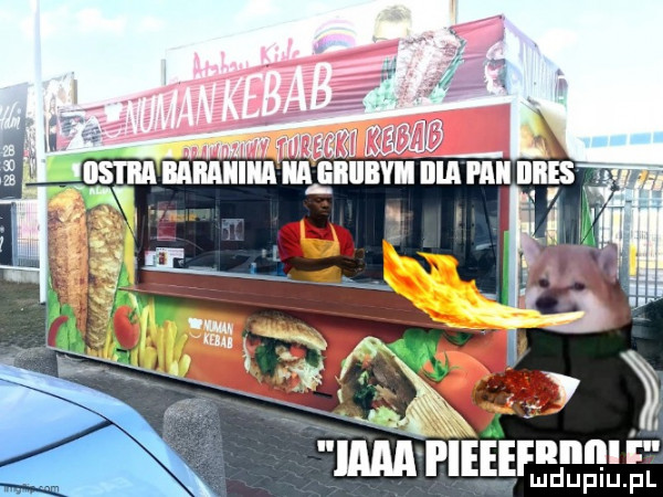 ibm i ieeef m i ludupiu. pl