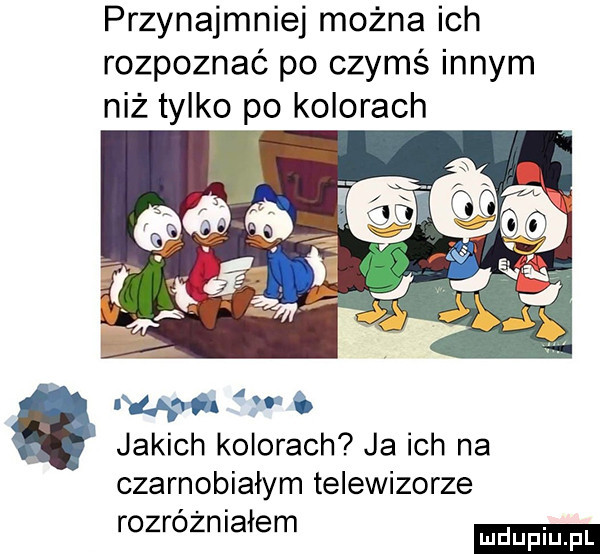 przynajmniej można ich rozpoznać po czymś innym niż tylko po kolorach l l wo jakich kolorach ja ich na czarnobiałym telewizorze rozróżniałem