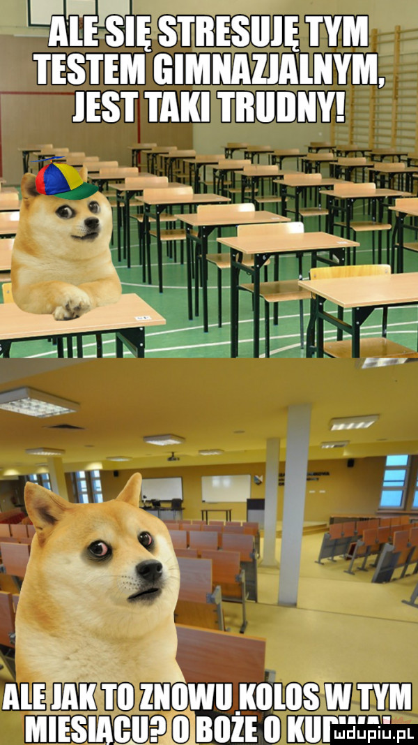 l ii iłś ię stresiiię  m  mm almunzmmm. nar mmnumm alę gan iń ll l llwil i illll w tym miesiabheąiąbiize   insee fl