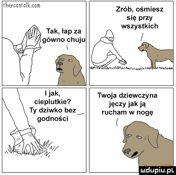 theycnntalkccm tak lap za gówno chuju zrób ośmiesz się przy wszystkich wm   mmwmwwm mew jak cieplutkie ty dziwko bez godności twoja dziewczyna jęczy jak ją rucham w nogę