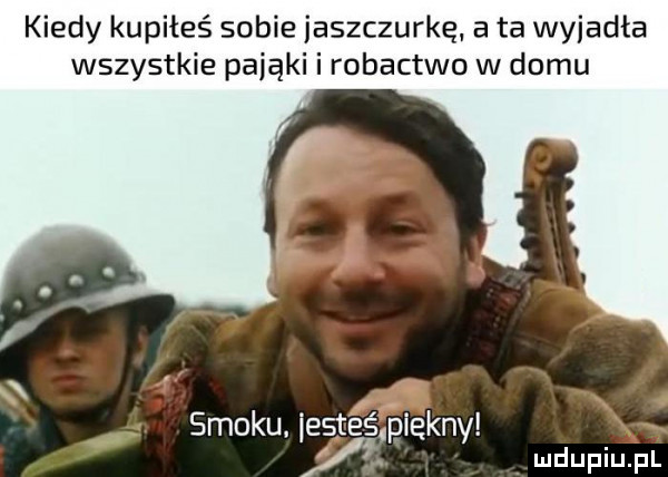kiedy kupiłeś sobie jaszczurkę. a ta wyiadta wszystkie pająki i robactwo w domu smoku. iksta ś piekny ż