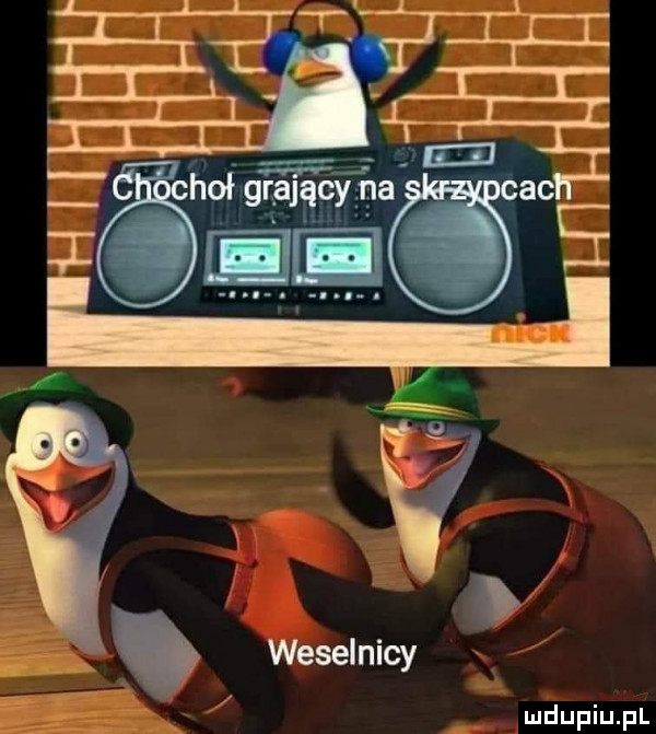 hobgrajﬁuay na ac. weselnicy