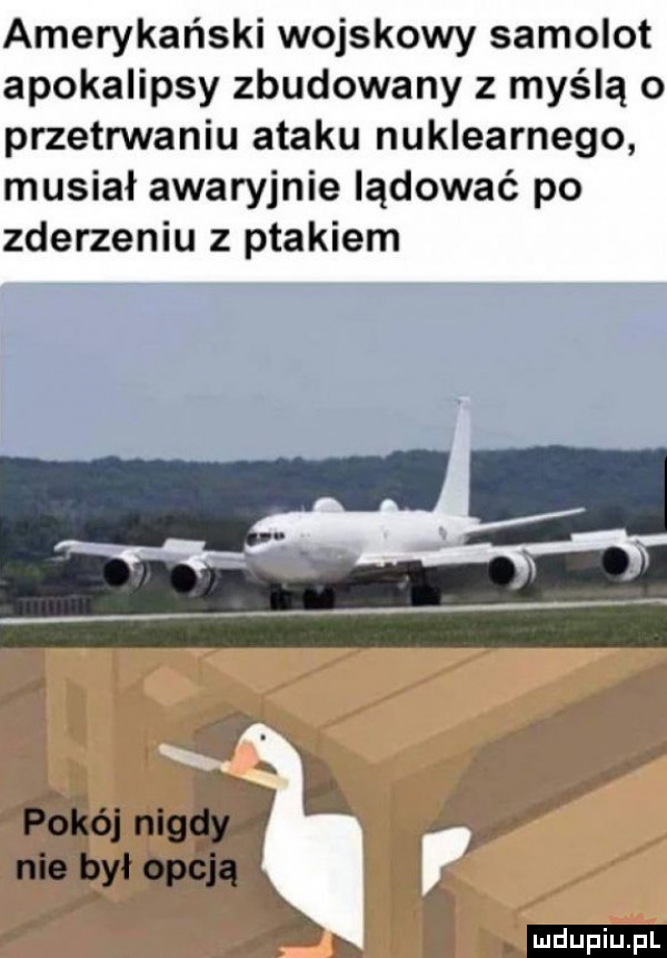 amerykański wojskowy samolot apokalipsy zbudowany z myślą o przetrwaniu ataku nuklearnego musiał awaryjnie lądować po zderzeniu z ptakiem x