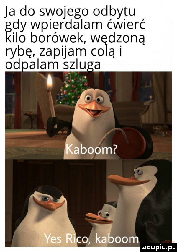 ja do swojego odbytu edy wpierdalam ćwierć ilo borówek wędzoną rybę zapijam colą od adam salu    raco kablom