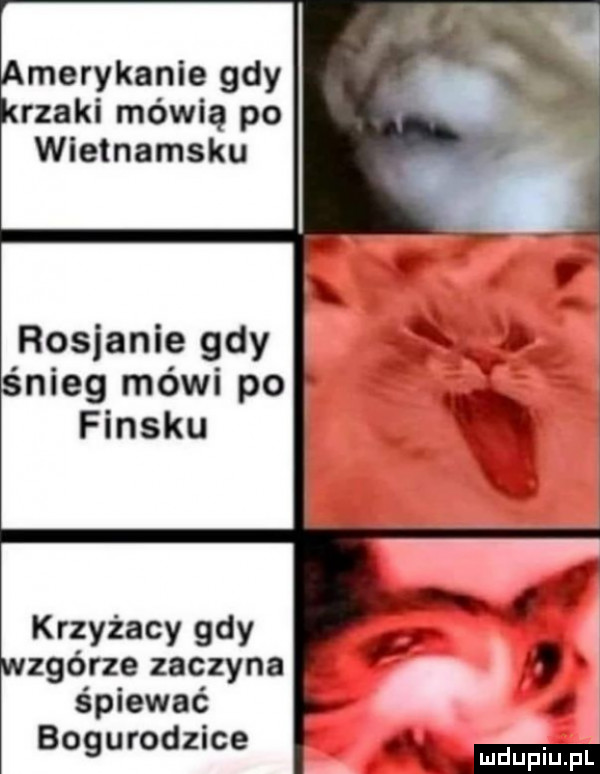 merykanie gdy rzeki mówią po wietnamsku rosjanie gdy śnieg mówi po finsku krzyżacy gdy wzgórze zaczyna śpiewać bogurodzica