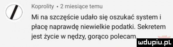 koprolity   maeswace temu mi na szczęście udało się oszukać system i płacę naprawdę niewielkie podatki. sekretem jest życie w nędzy gorąco polecam