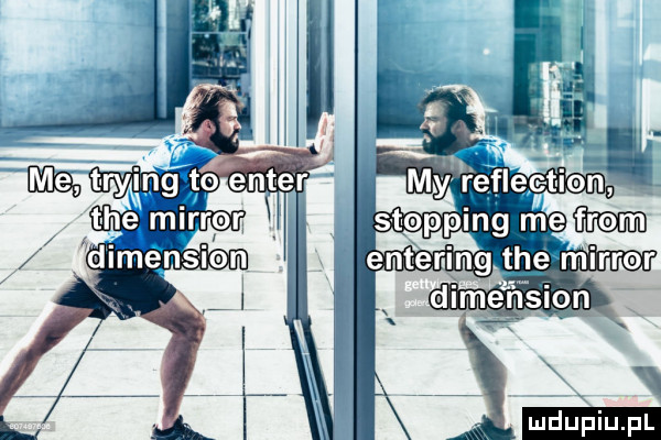 faction ing roe nter ing th e mirror di sion x