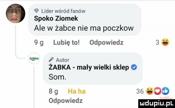 lider wśród fanów spoko ziomek ale w żabce nie ma poczkow   g lubię to odpowiedz  . autor żabka mały wielki sklep o som.     h m        odpowiedz