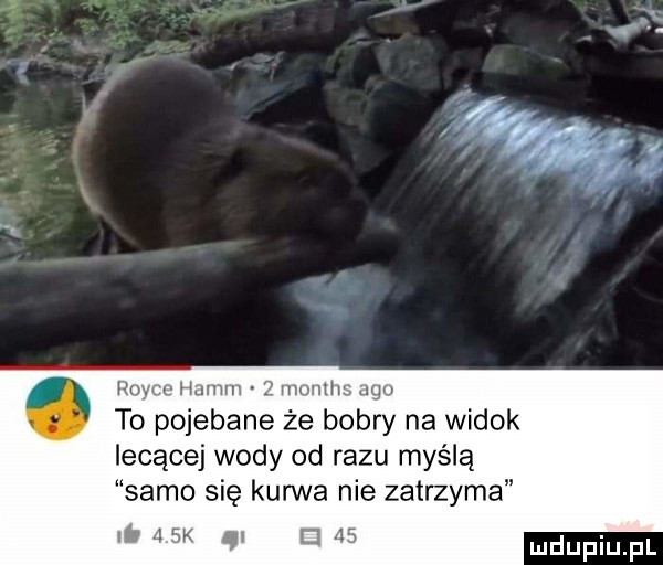 rnytzv hmmm z mumns jgu to pojebane że bobry na widok iecącej wody od razu myślą samo się kurwa nie zatrzyma nt