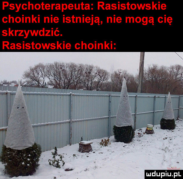 psychoterapeuta rasistowskie choinki nie istnieją nie mogą cię skrzywdzić. rasistowskie choinki ludu iu. l