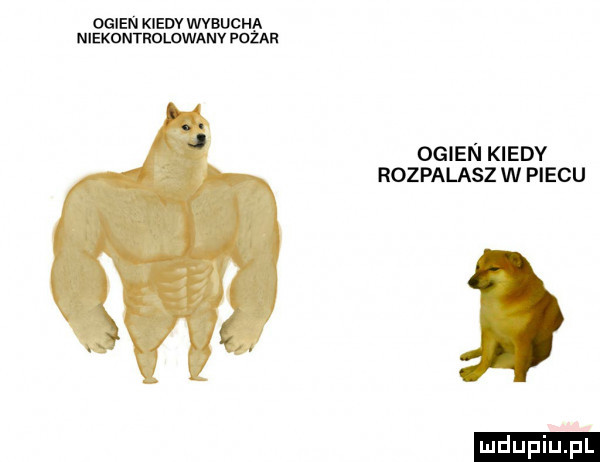 omen kiedy wvbucna niekontrolowanv fama ogien kiedy rozpalasz w piecu