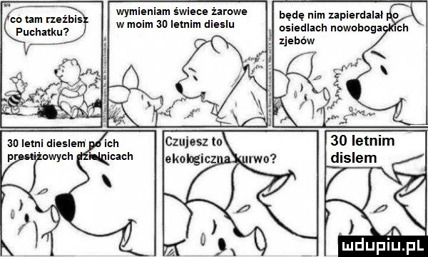 cn um rzeżbis puchatku wymieniam świece iamwe w moim    letnim dieslu będę nim upierdeiei   m a an letni dieslem nwych    letnim dialem