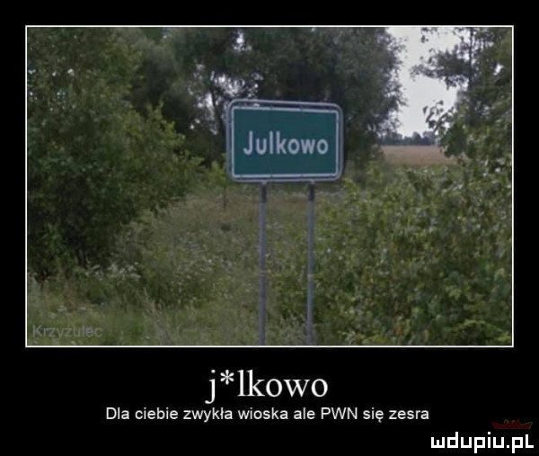 lkowo dla ciebie zwykla wloska ale pwn się zesra