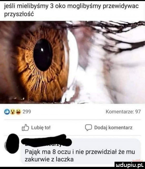 jeśli mielibyśmy   oko moglibyśmy przewidywac przyszłość o as     knmvuhllin    ec lubięlu c doda komentarz pająk ma   oczu i nie przewidział że mu zakurwie z laczka