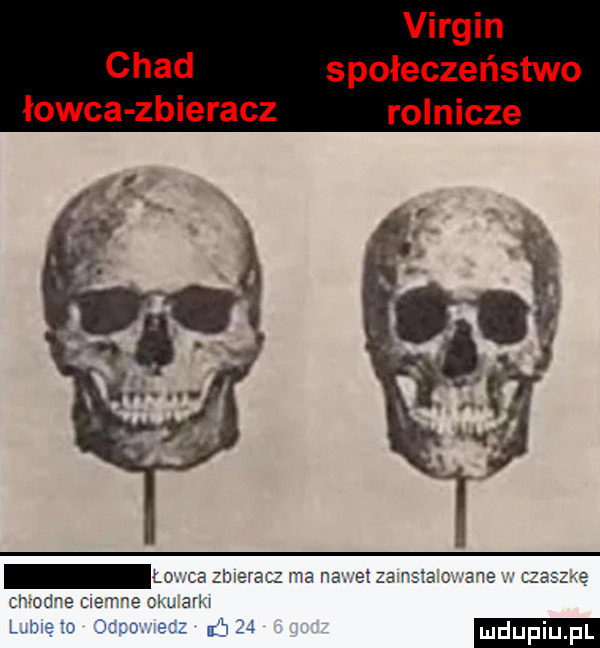 virgin chad społeczeństwo łowca zbieracz rolnicze