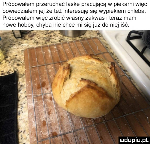 Chlebek z piekarni